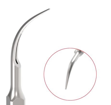ZEG Spitze G5 für EMS